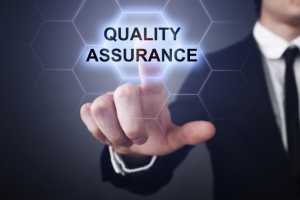 Process of Quality Assurance in Healthcare Documentation 1